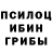 Галлюциногенные грибы Psilocybine cubensis Arthur Salnikov