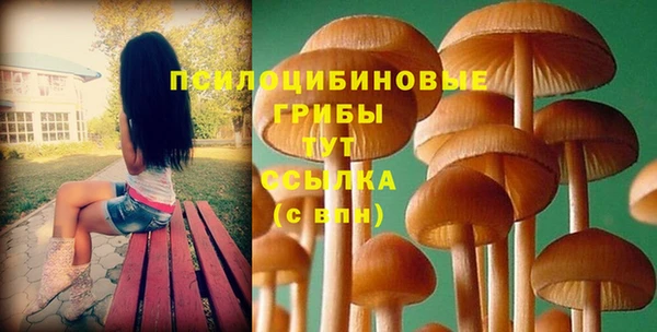 прущая мука Верея