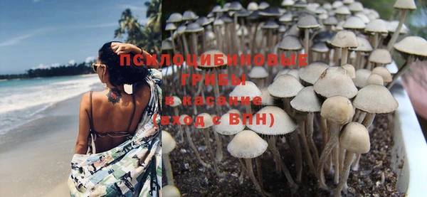 прущая мука Верея