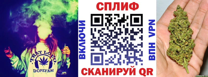 площадка состав  Мончегорск  Бошки марихуана Amnesia 